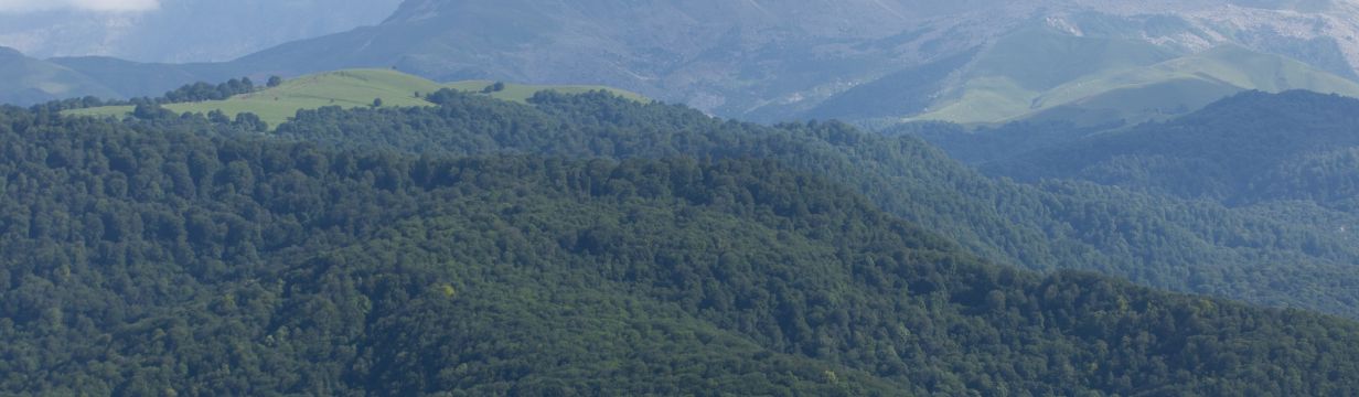 Туры в Азербайджан