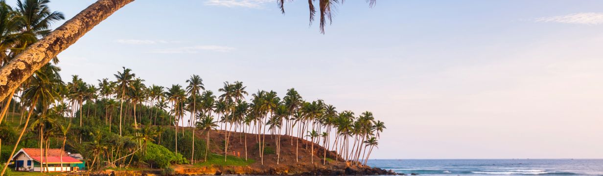 Туры на Шри-Ланку