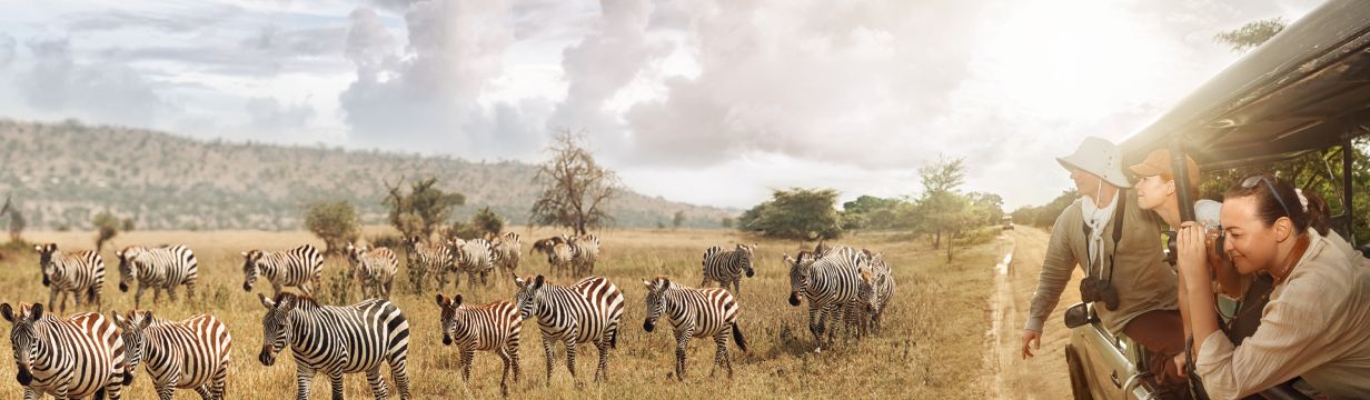 Туры в Танзанию