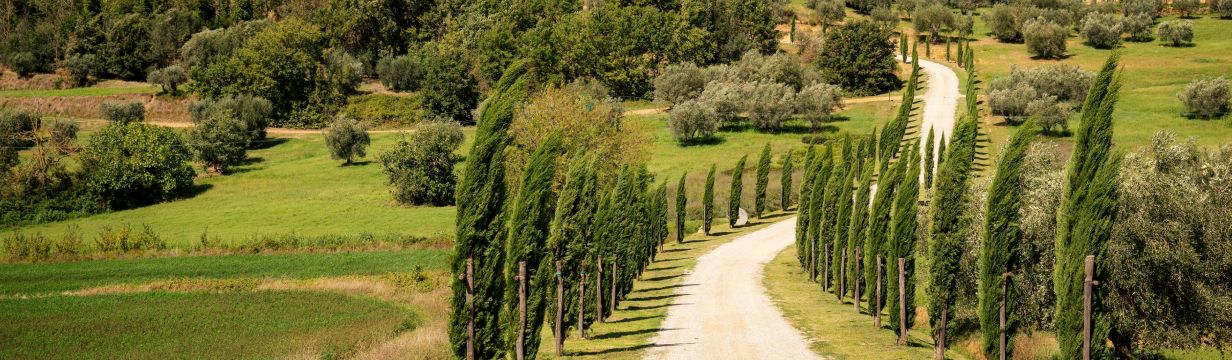 Туры в Италию