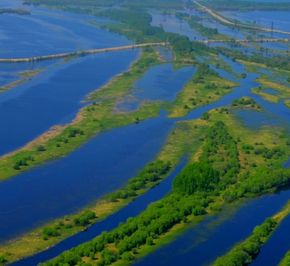 Тюменская область