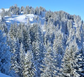 Гранд Массив