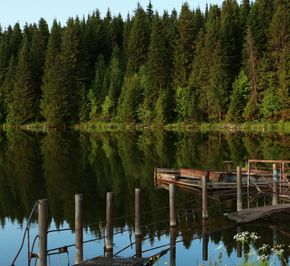 Кировская область