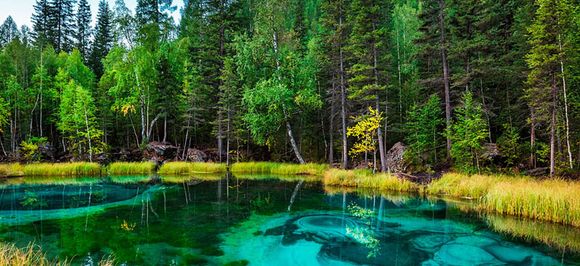 Алтайский край