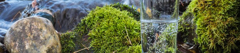 Минеральные Воды