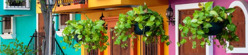 Пуэрто-Вальяртa