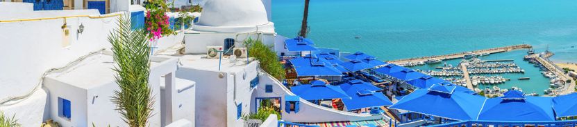 Борж Седрия