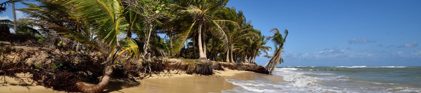 Уверо Альто