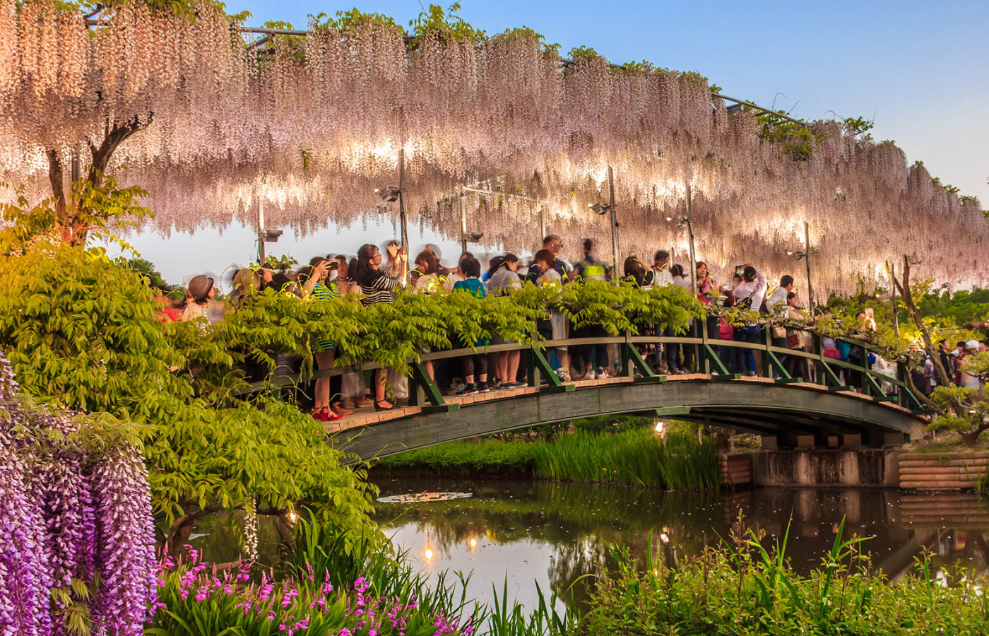 Туры в Японию 2025