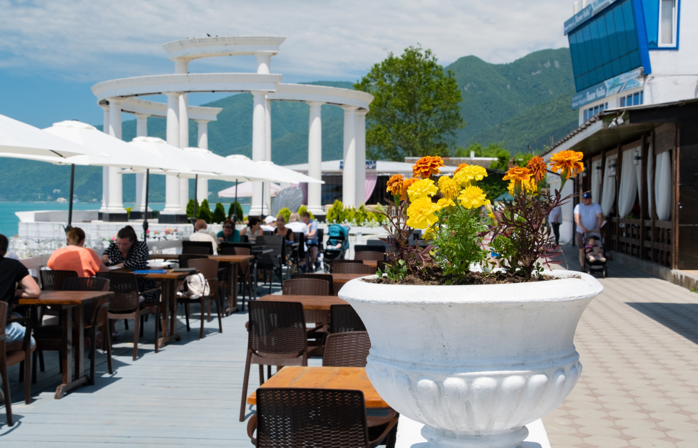 Туры в Гагру 2025