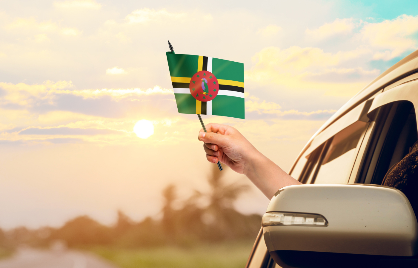 Туры в Доминикану 2025