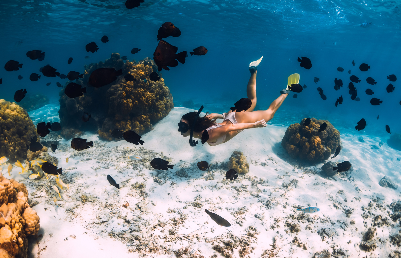 Туры на Маврикий из Владикавказа