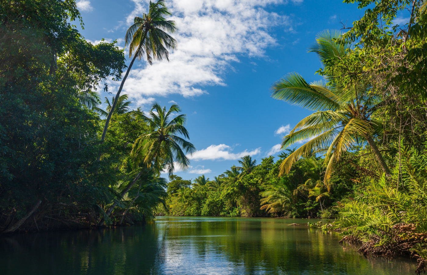 Туры в Доминикану из Владикавказа