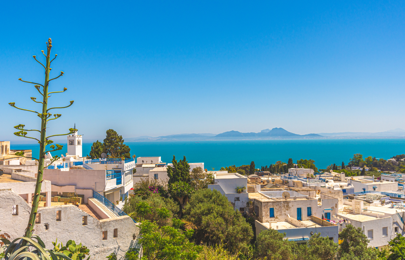 Туры в Тунис 2025