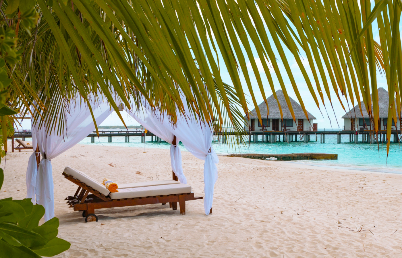 Туры на Мальдивы 2025